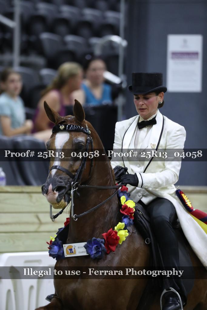 Proof 25R13_04058