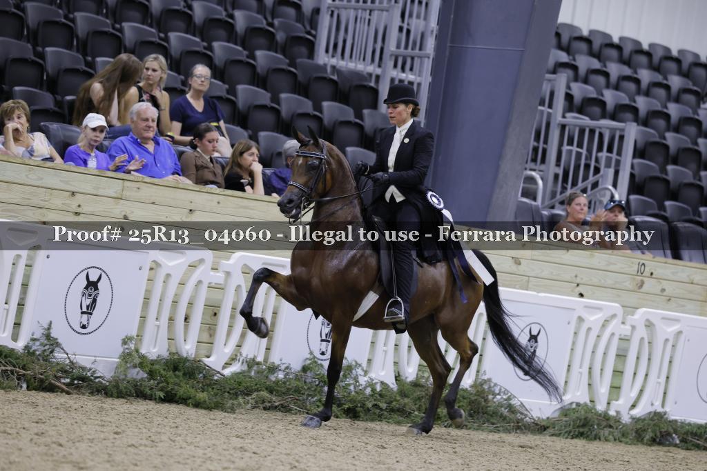 Proof 25R13_04060