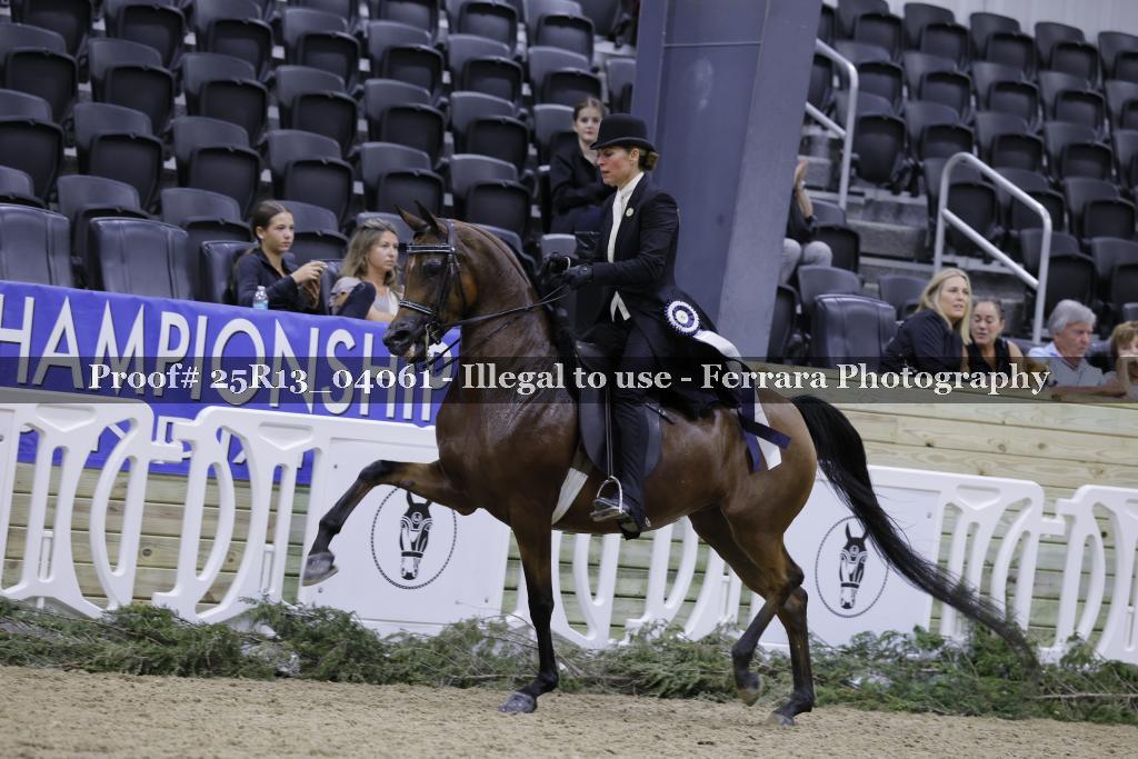Proof 25R13_04061