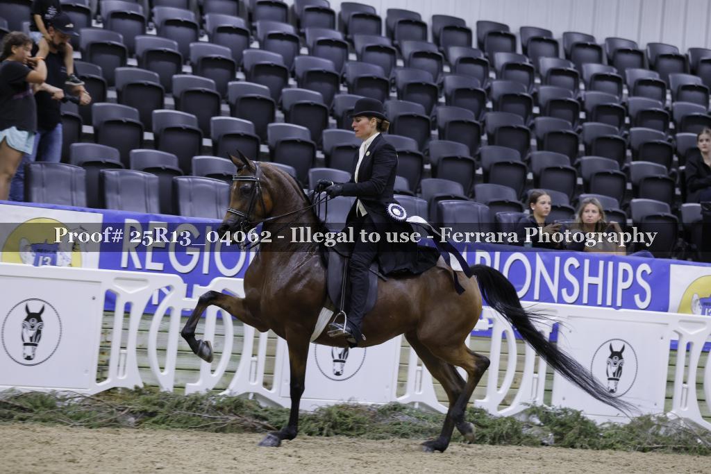Proof 25R13_04062