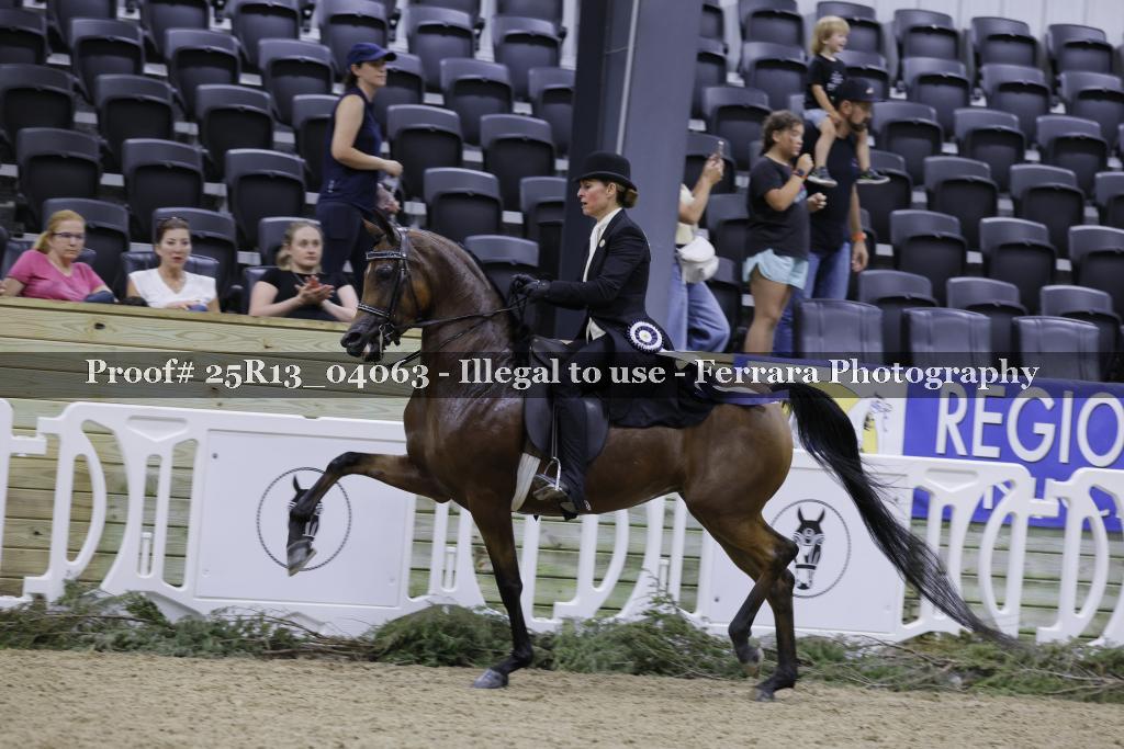 Proof 25R13_04063