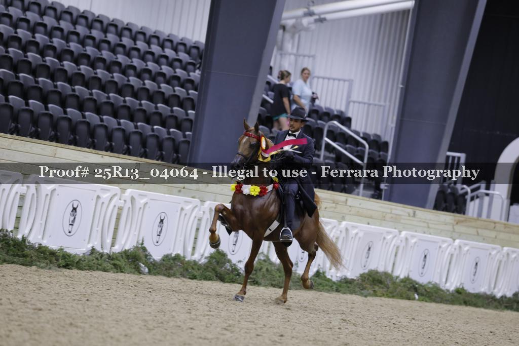Proof 25R13_04064