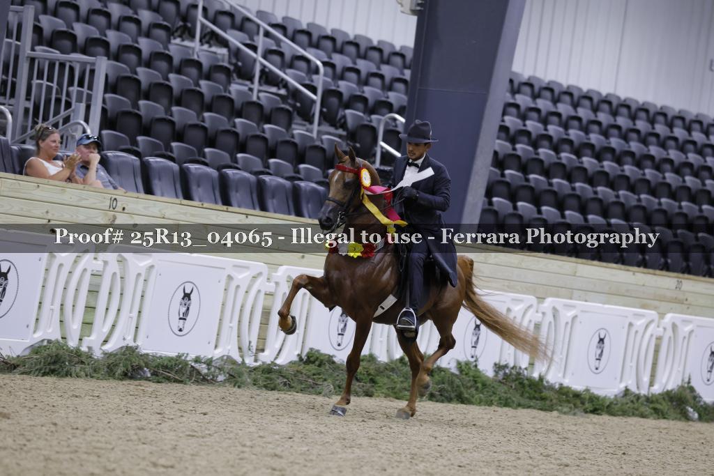 Proof 25R13_04065