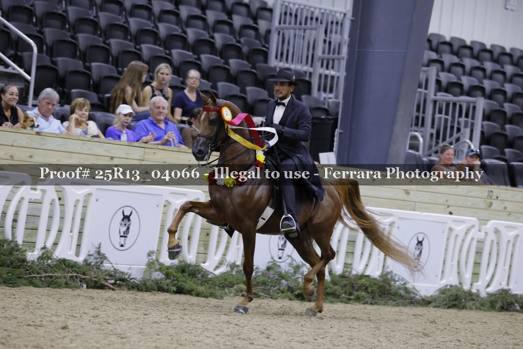 Proof 25R13_04066