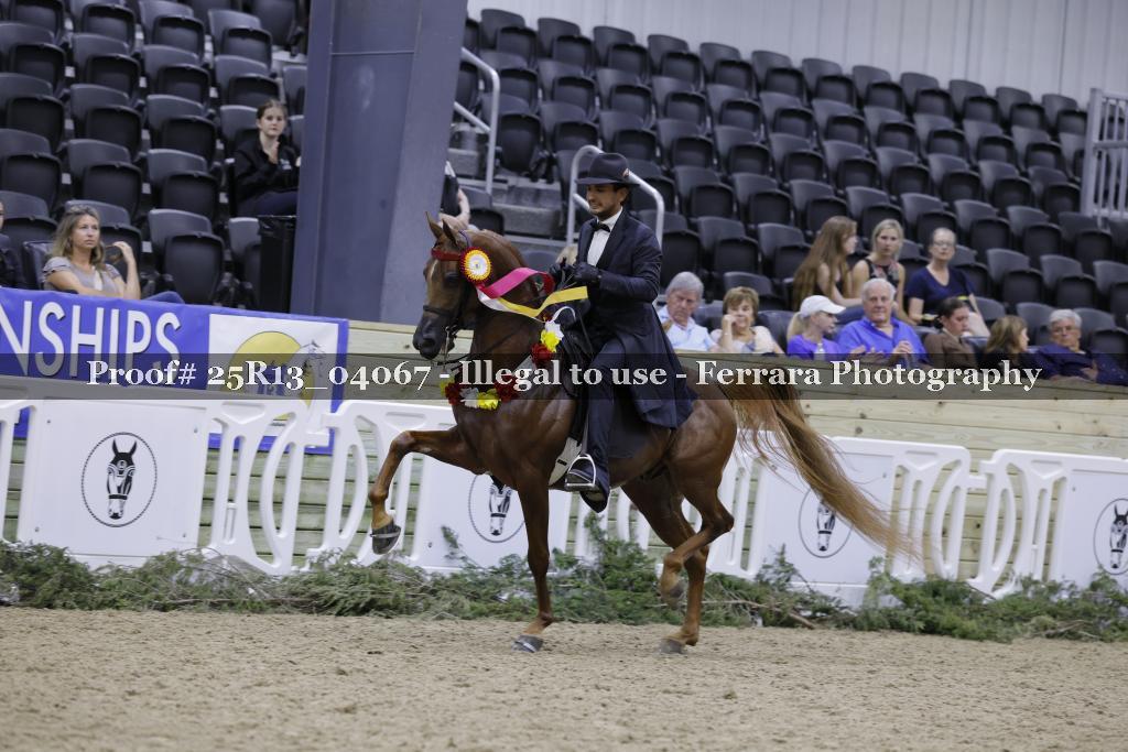 Proof 25R13_04067