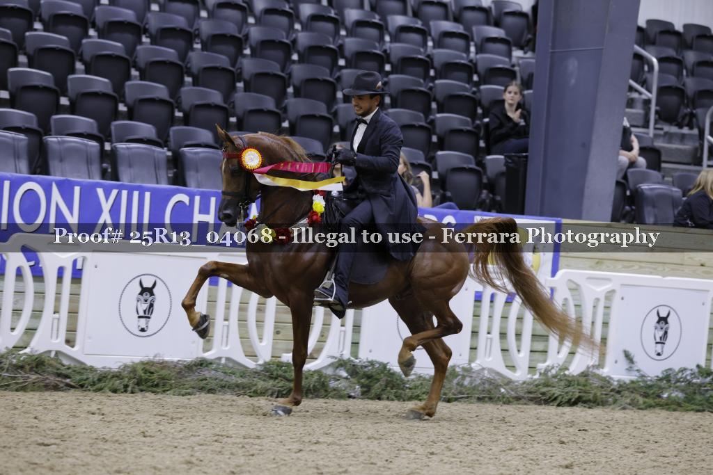 Proof 25R13_04068