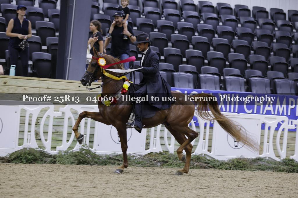 Proof 25R13_04069