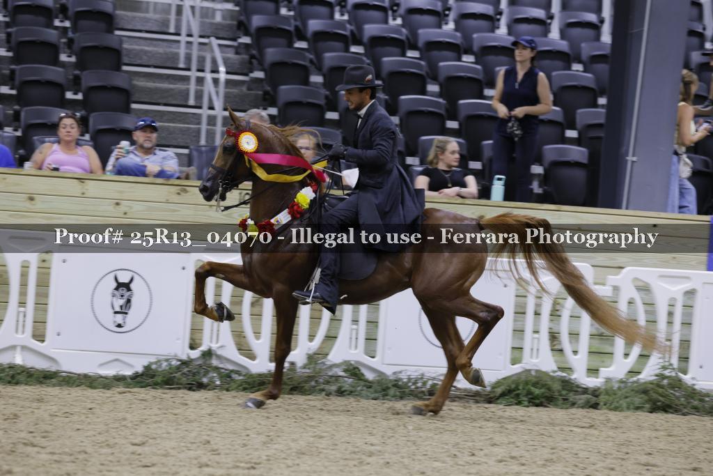 Proof 25R13_04070