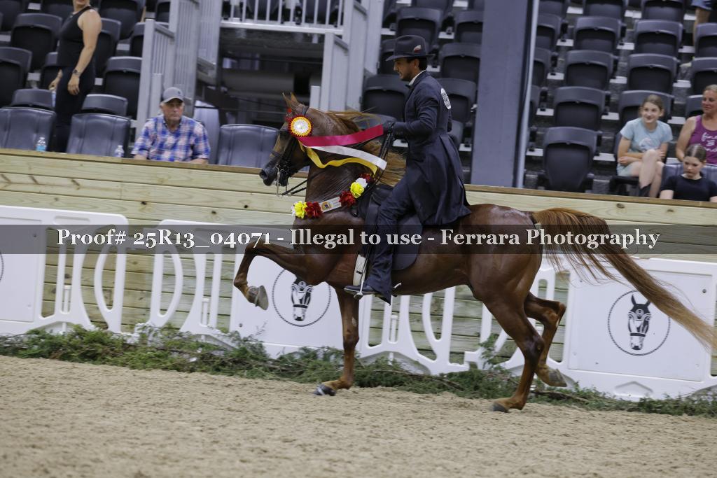 Proof 25R13_04071