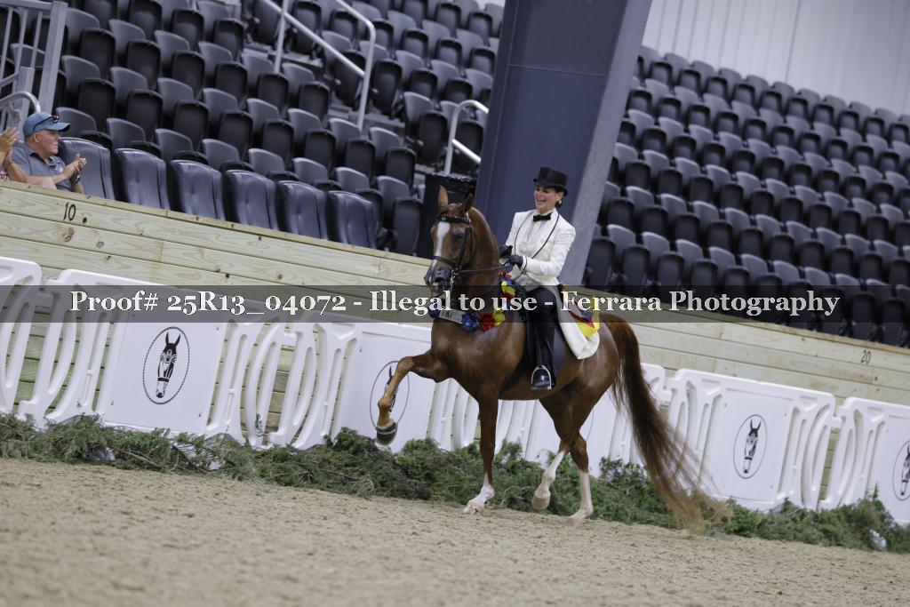 Proof 25R13_04072