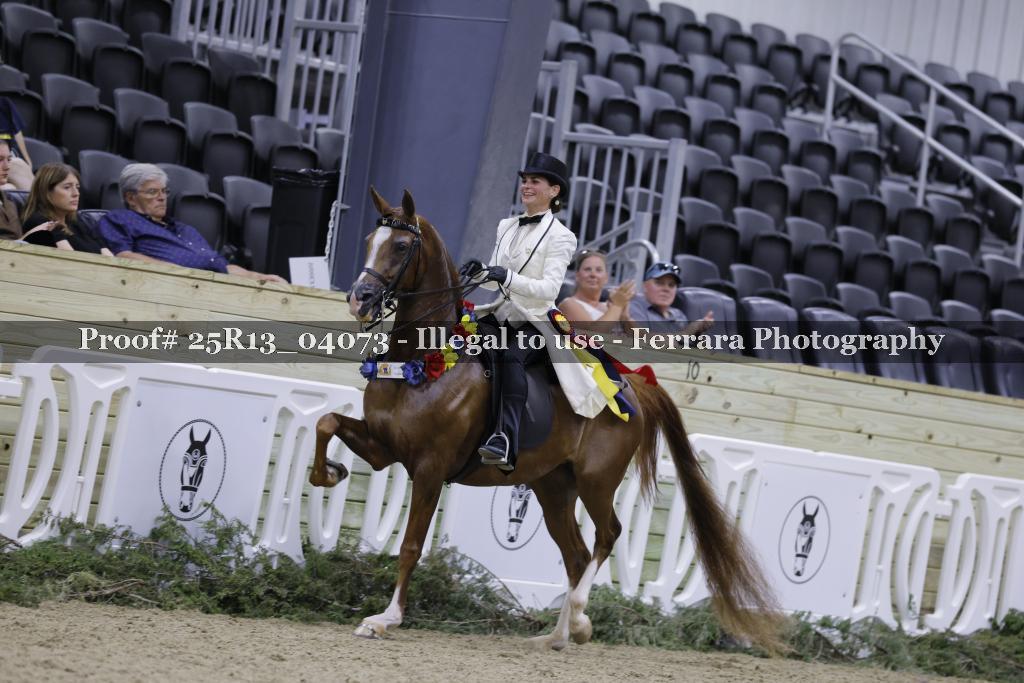 Proof 25R13_04073