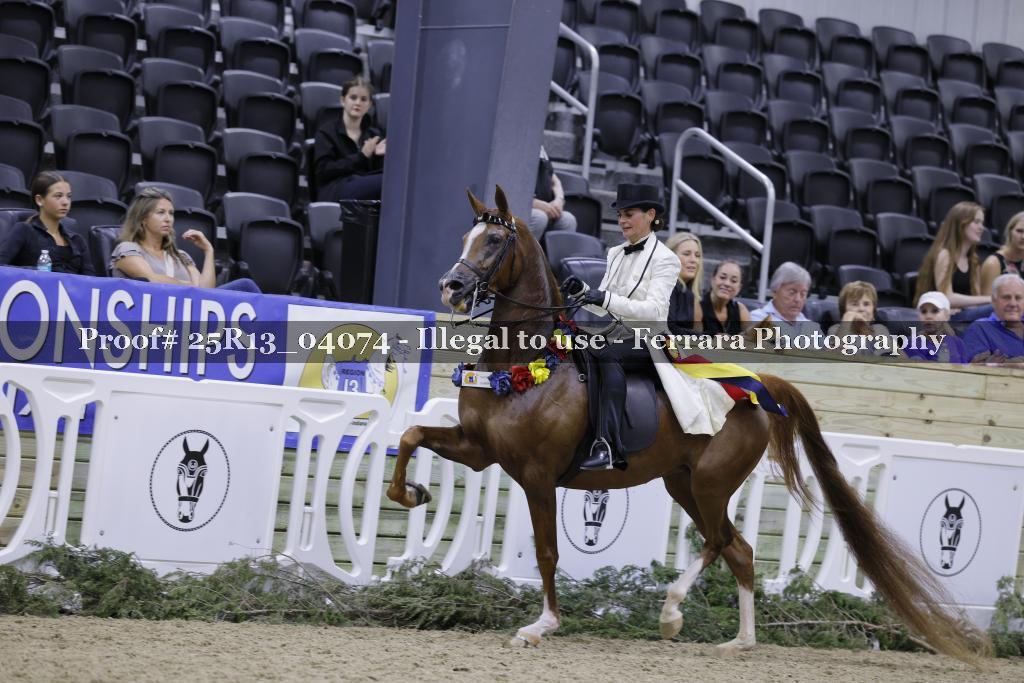 Proof 25R13_04074