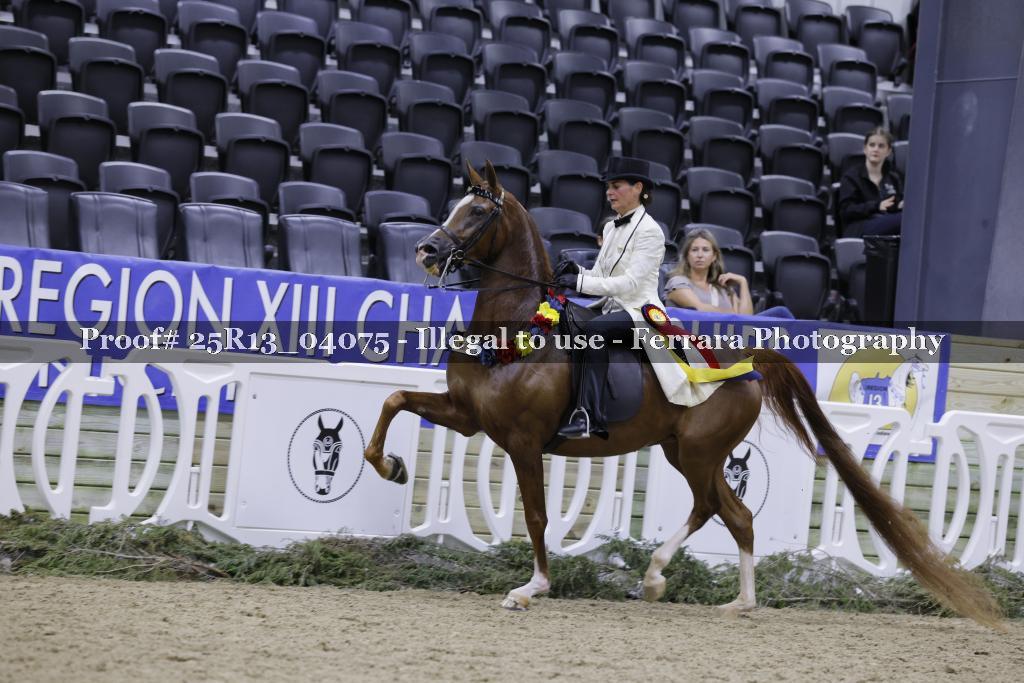 Proof 25R13_04075