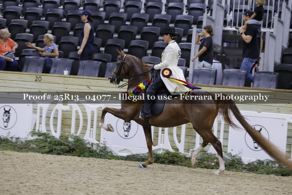 Proof 25R13_04077