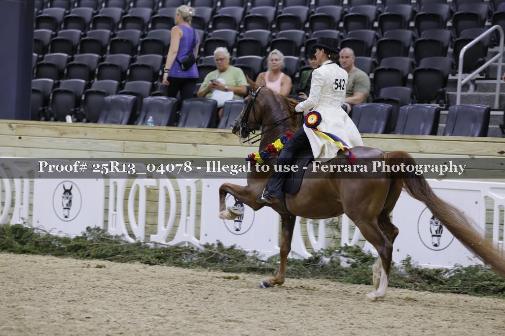 Proof 25R13_04078