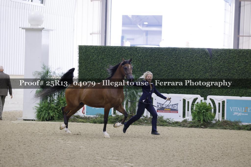 Proof 25R13_04079