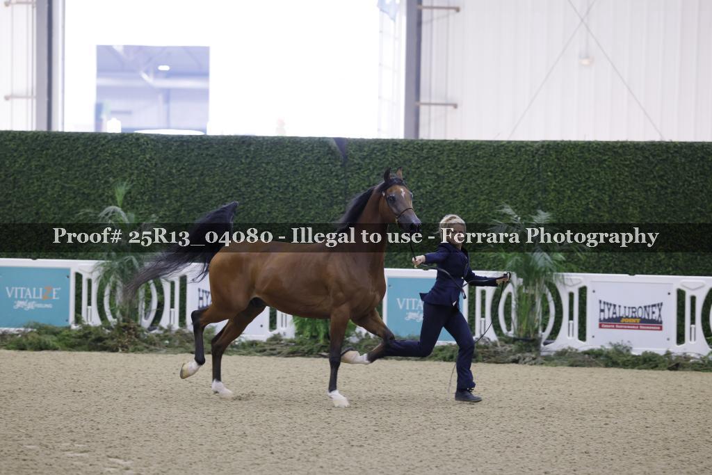 Proof 25R13_04080