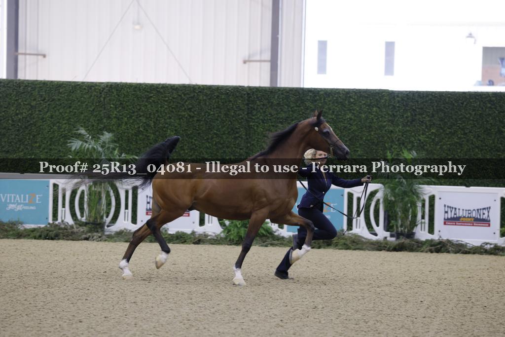 Proof 25R13_04081