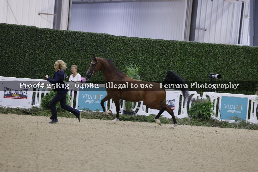 Proof 25R13_04082