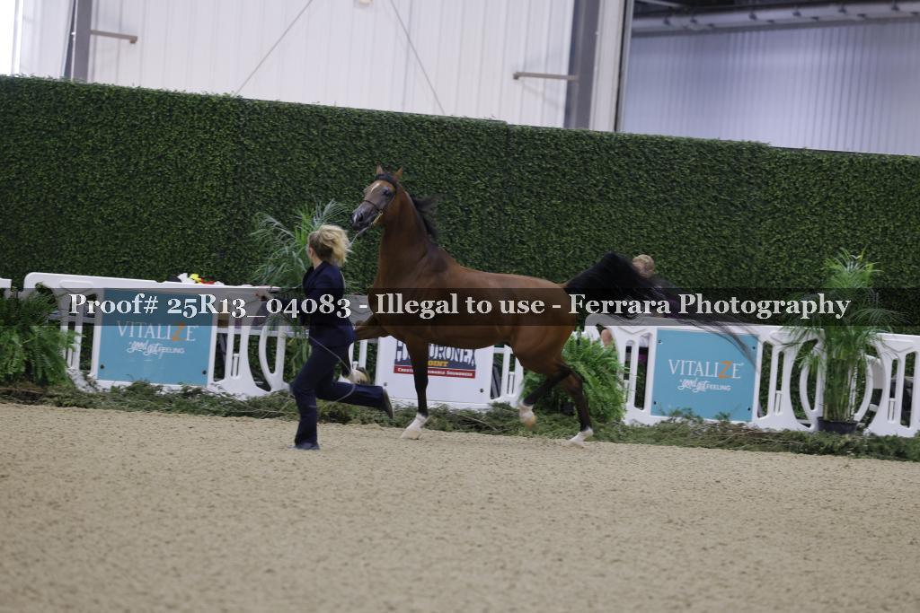 Proof 25R13_04083