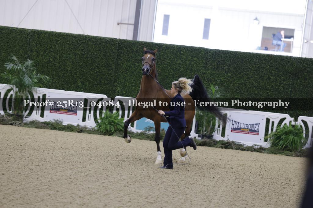 Proof 25R13_04084
