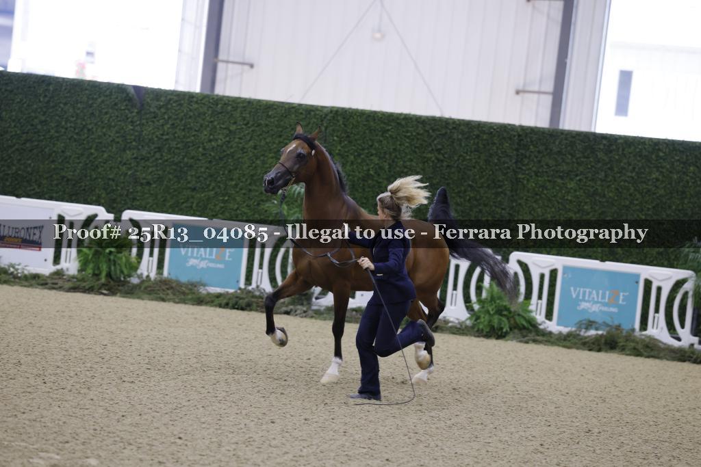 Proof 25R13_04085