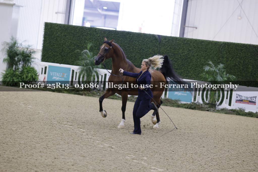 Proof 25R13_04086
