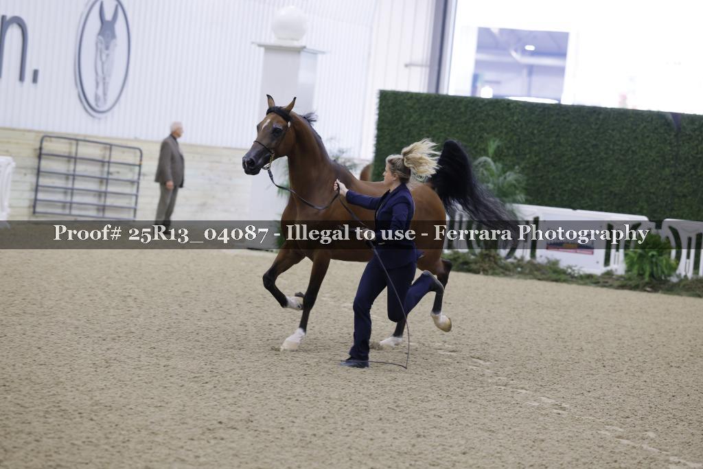 Proof 25R13_04087