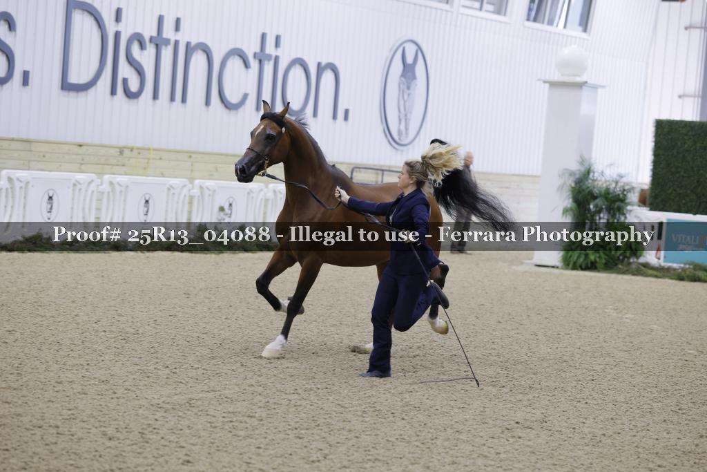 Proof 25R13_04088