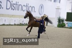 25R13_04088 proof