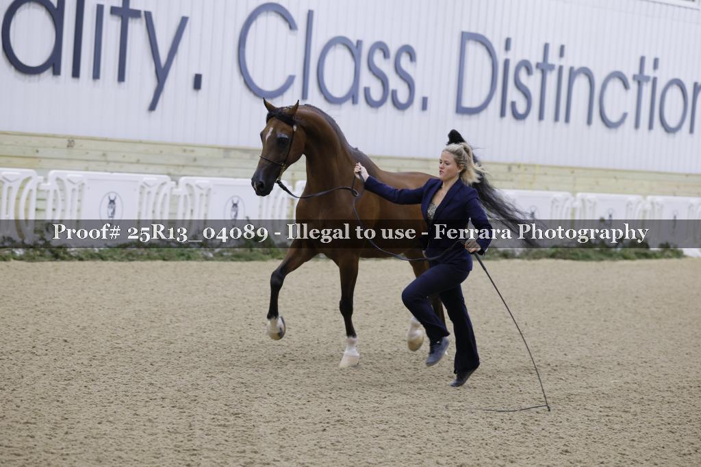 Proof 25R13_04089