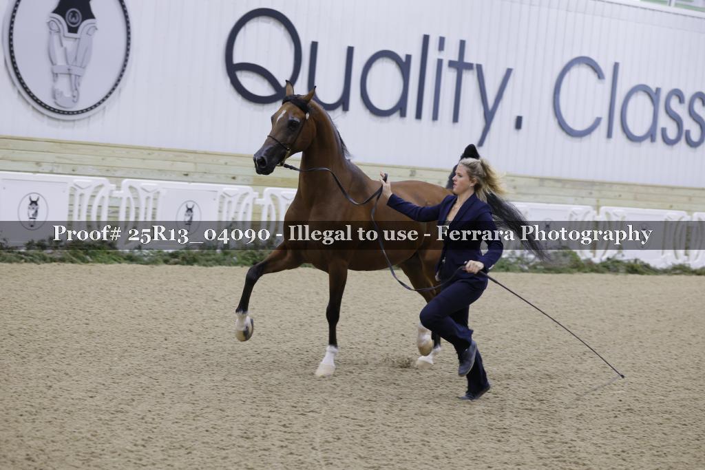 Proof 25R13_04090