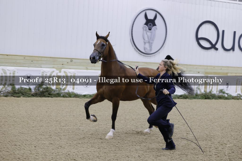 Proof 25R13_04091