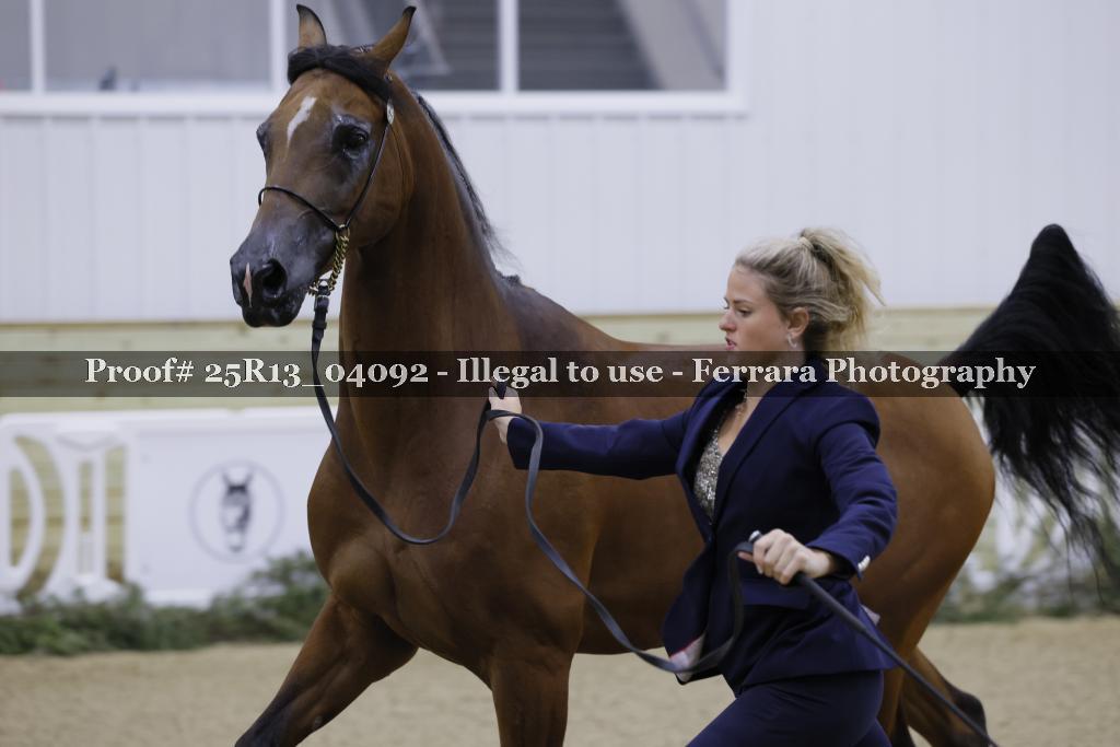 Proof 25R13_04092