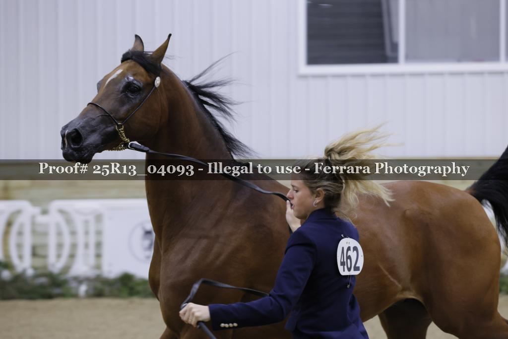 Proof 25R13_04093
