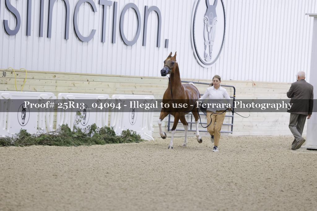 Proof 25R13_04094