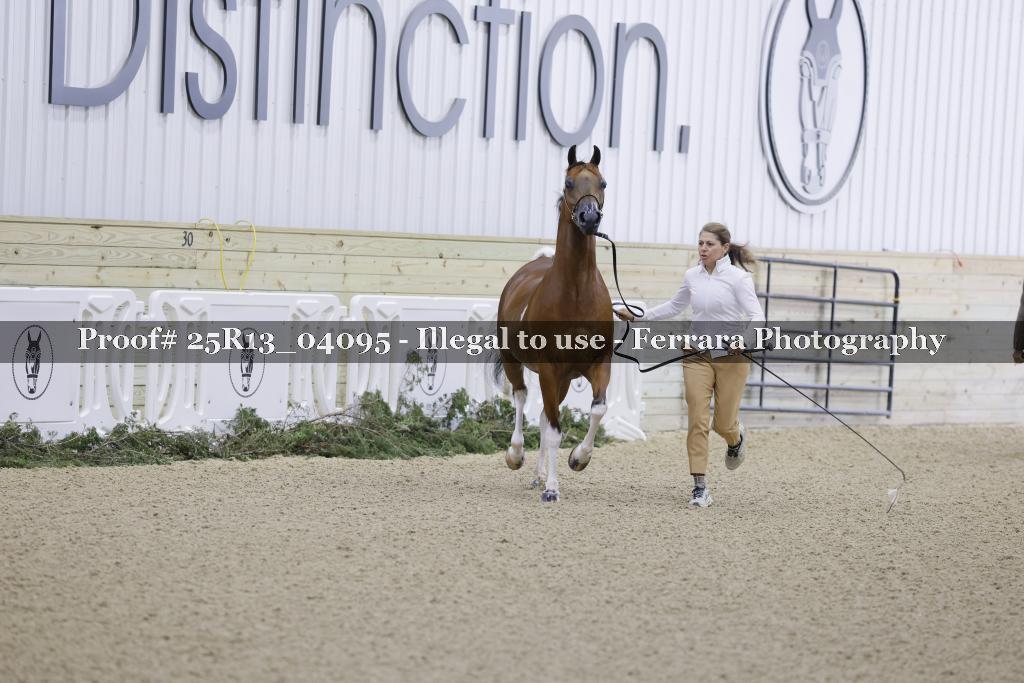 Proof 25R13_04095