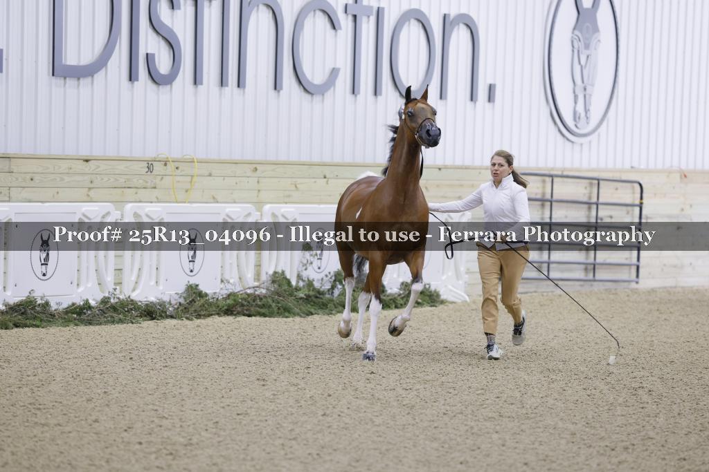 Proof 25R13_04096