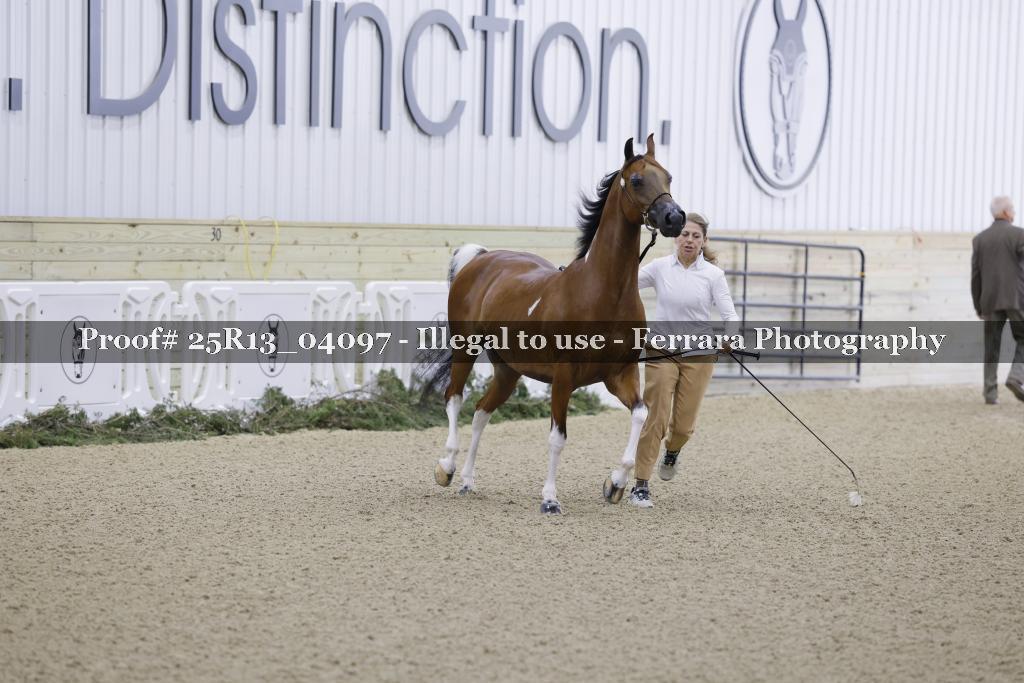 Proof 25R13_04097