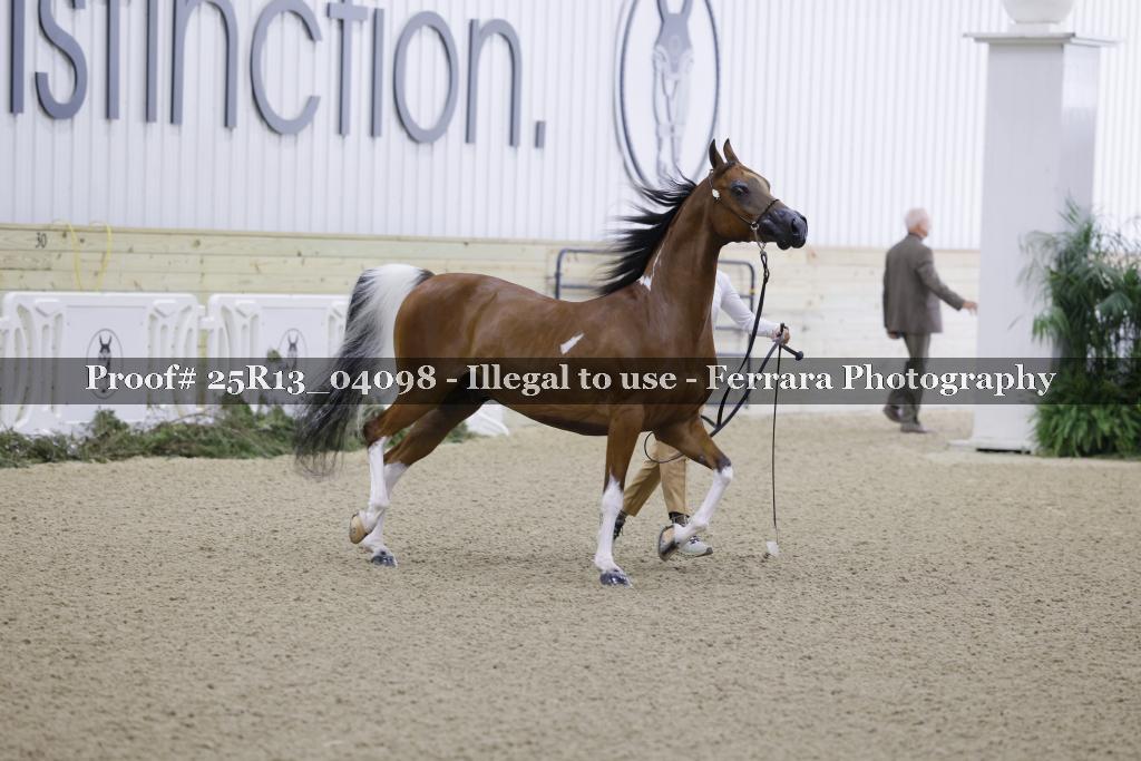 Proof 25R13_04098