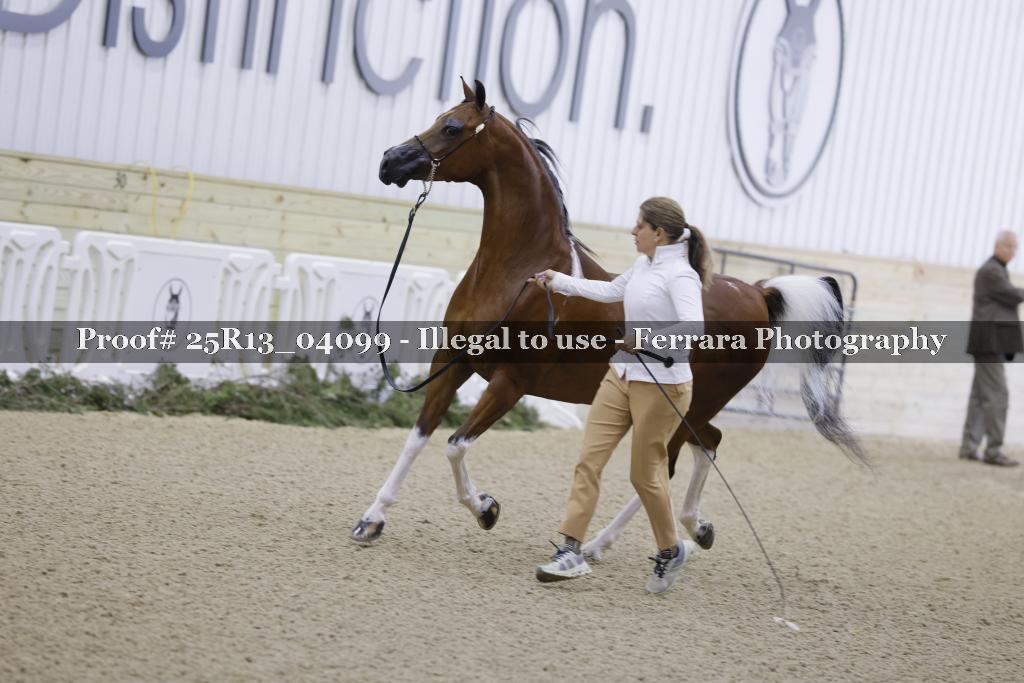 Proof 25R13_04099