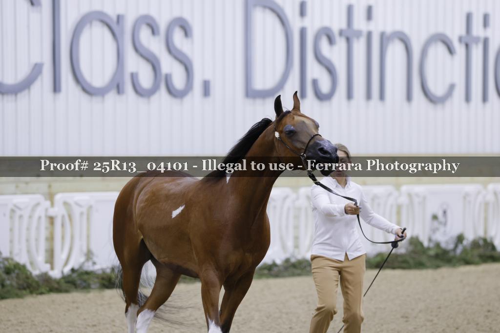 Proof 25R13_04101