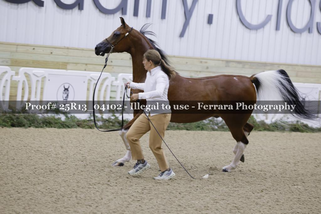 Proof 25R13_04102
