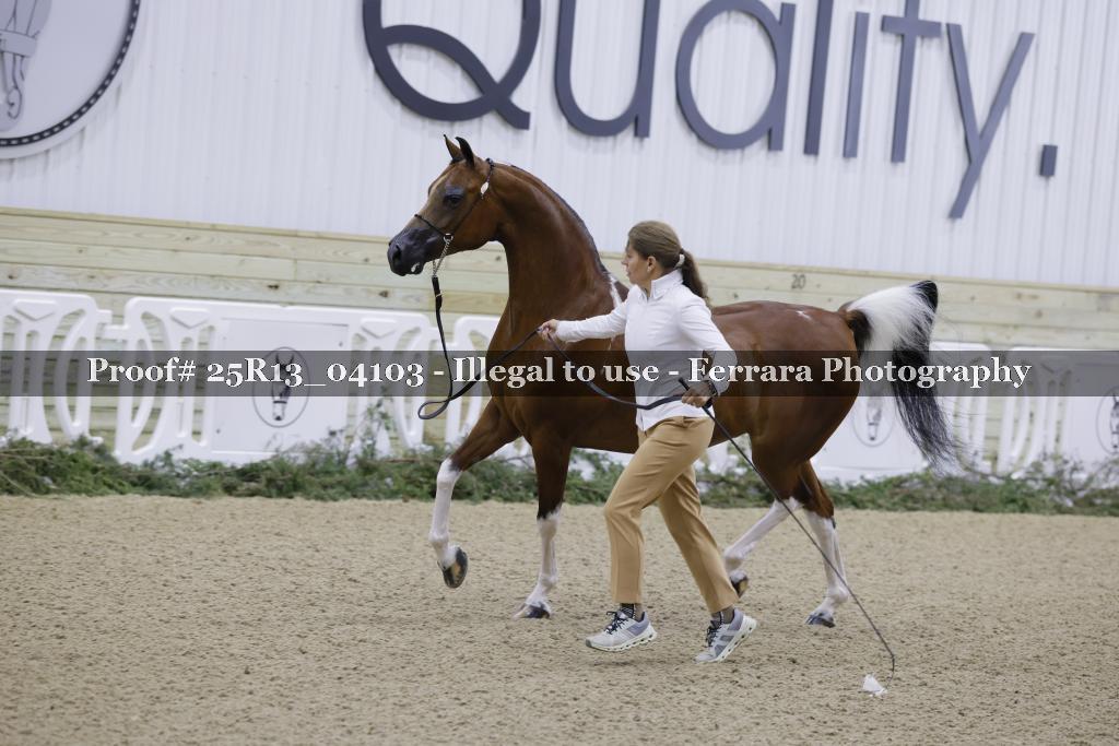 Proof 25R13_04103