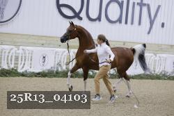 25R13_04103 proof