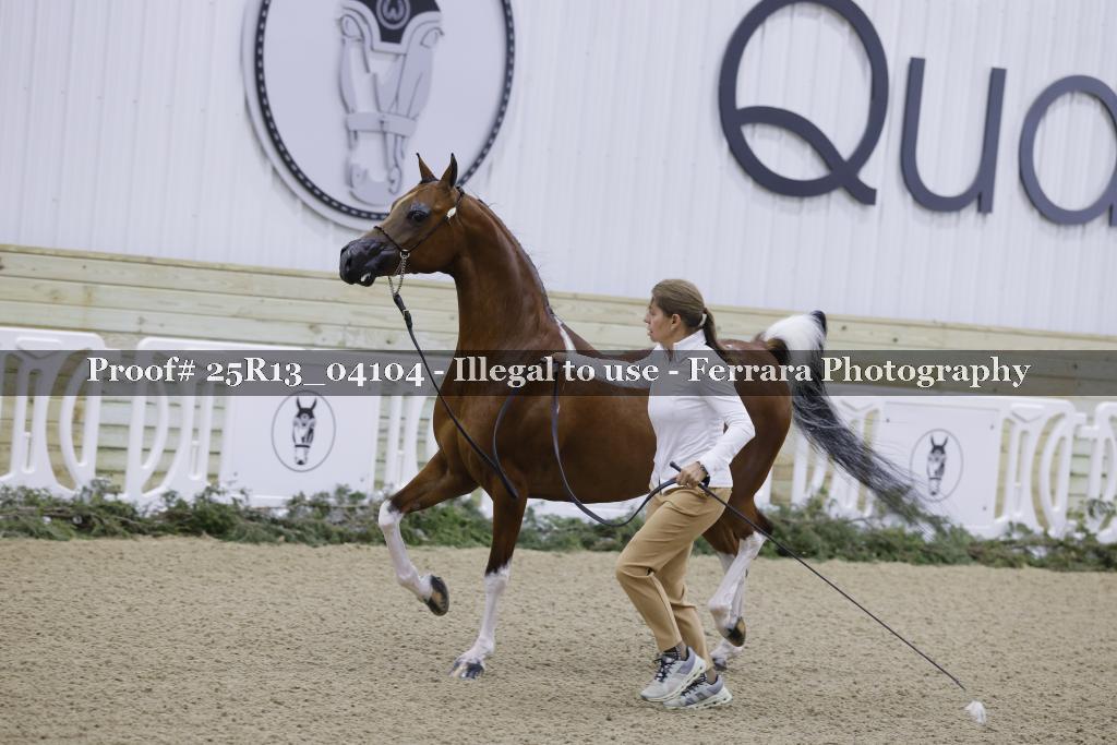 Proof 25R13_04104