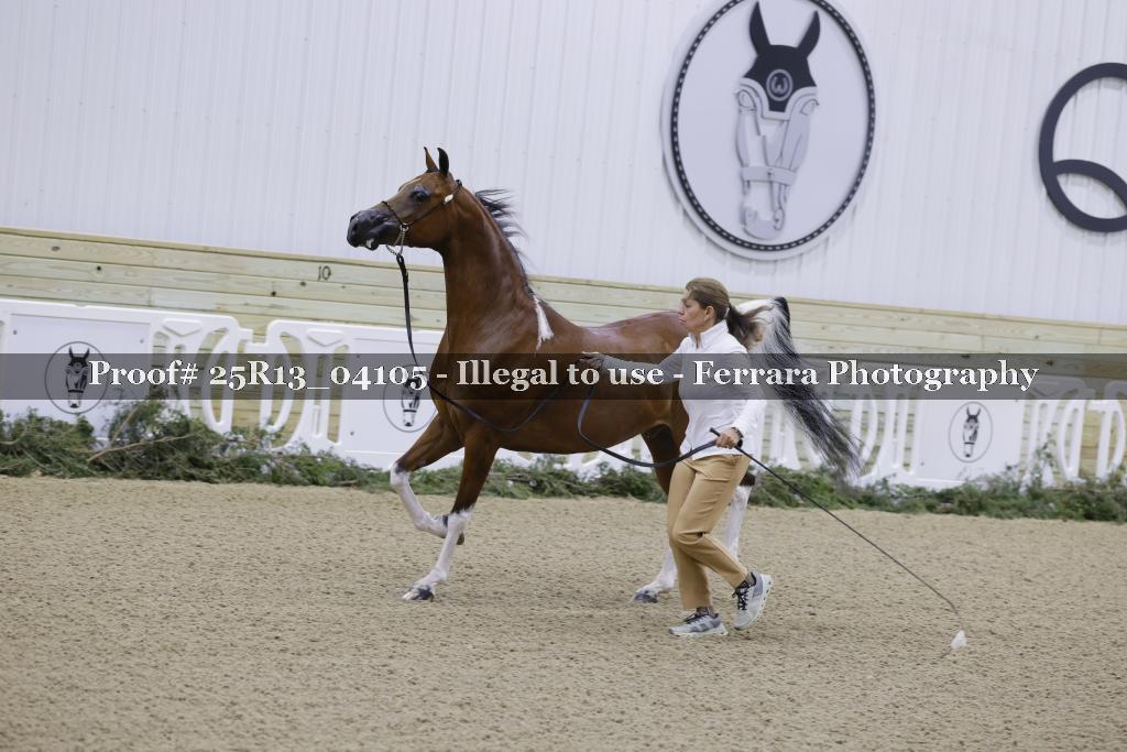 Proof 25R13_04105