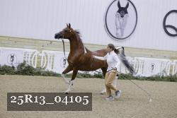 25R13_04105 proof