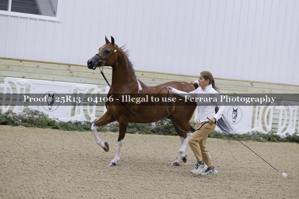 Proof 25R13_04106
