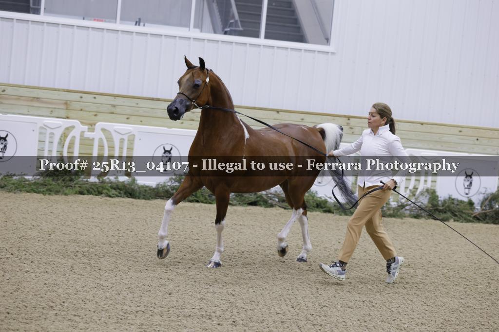 Proof 25R13_04107